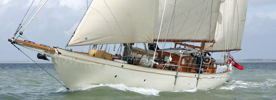 Halcyon sailing